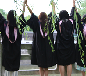 C7网页版登录风采展示五